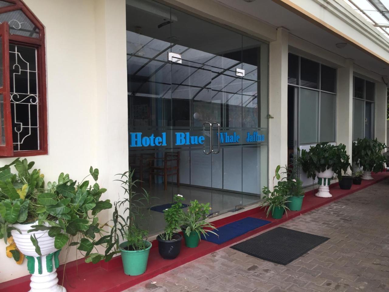 Hotel Blue Whale Джафна Экстерьер фото